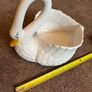 Swan Image 3