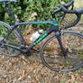 trek emonda  road bike Image 5