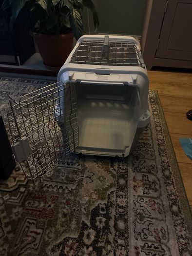 cat carrier