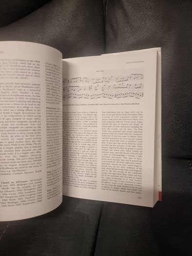 Companion to Irish Traditional Music (Hardback)