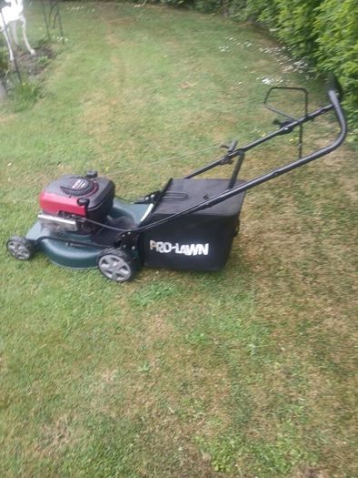 Prolawn Push Lawnmower
