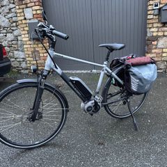 E-Bike - Raleigh Motus Cruiser for sale