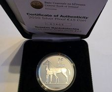 2010 irish silver 15 euro coin