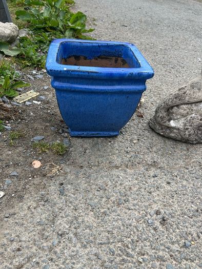 plant pots