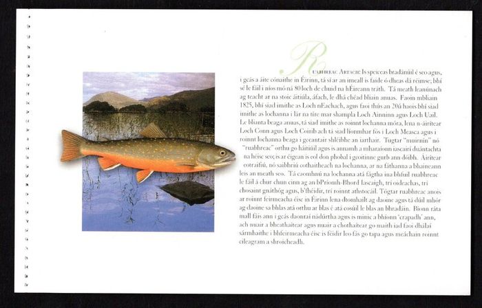 2001 Ireland Freshwater Fish Commemorative Stamp Booklet Mint Never Hinged (MNH). Photos of contents shown.