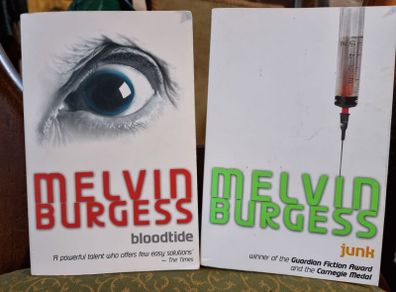 Melvin Burgess bundle