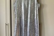 Oasis sequin dress S  (10/12)
