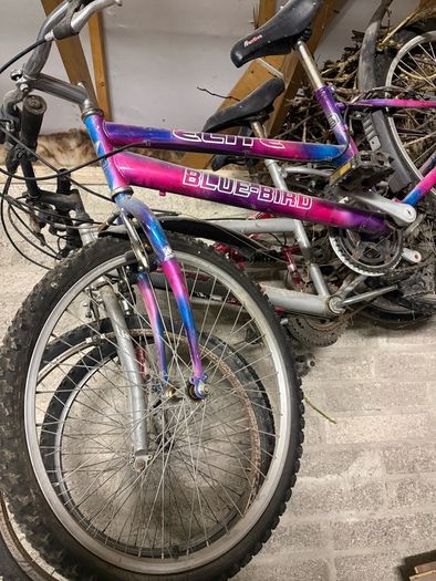 bikes