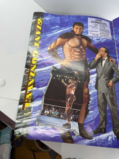Wwe WWF European spring Tour 1993 Official souvenir Programme