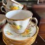 Royal Tara Yellow Rose china set Image 9