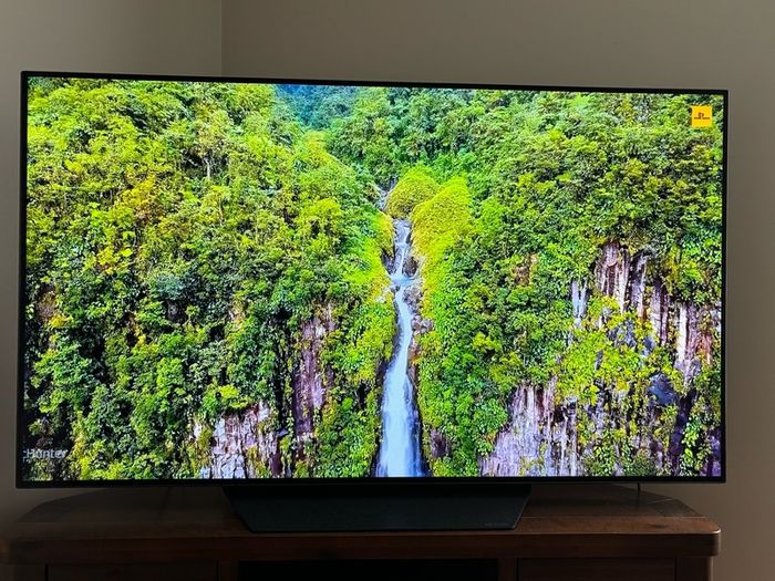 LG smart OLED tv 55 inch