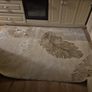 rug Image 2