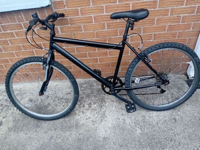 adults bike