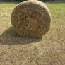Hay bales Image 2