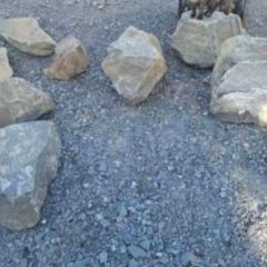 Garden Rockery