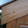 Shed Image 5