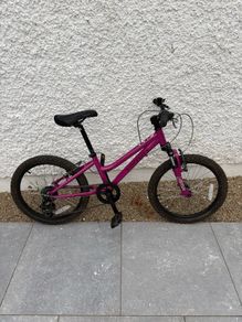 Ridgeback Harmony 20 inch