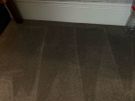 Carpet cleaning Image 9