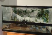 terarium