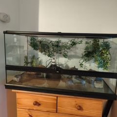 terarium