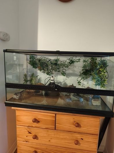 terarium