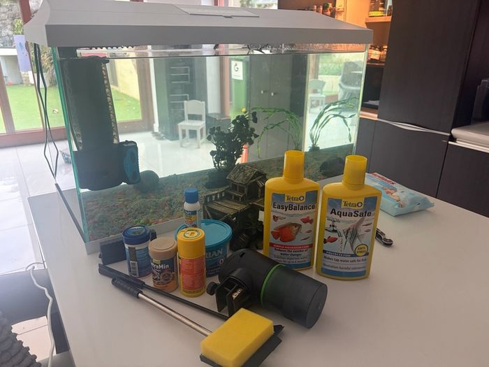 fish tank complete with two filters and everything you need.