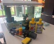fish tank complete with two filters and everything you need.