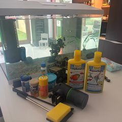 100l fish tank complete with two filters and everything you need.