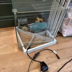 Fish tank