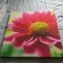 Canvas Picture Image 4