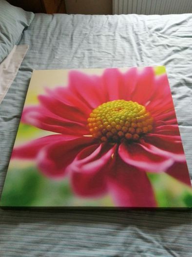 Canvas Picture