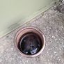 Plant pot Image 2