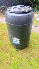 rain water