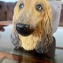 Vintage 20th Century Afghan Hound Chalkware Bust Legend Products Image 2