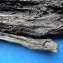 bog oak Image 3