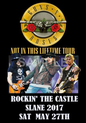 Guns 'N' Roses Concert Poster Slane Castle 2017