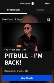 Pitbull Front Standing