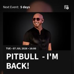Pitbull Front Standing