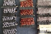 Beaded trimmings