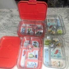 Original 6 section YUMBOX Orange - 20 each and spare inserts - 10 each
