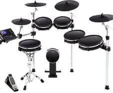 Alesis Dm10 Mkii Pro Kit Price Drop