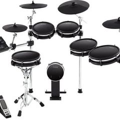 Alesis Dm10 Mkii Pro Kit Price Drop