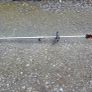 7ft long branch saw Image 7