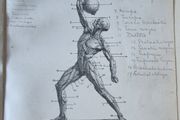 Sandow's On Physical Training. G. Mercer Adam. A. Casarin. Victorian, Physical Culture, Bodybuilding, Strongman, Gymnastics, Weightlifting, Dumbbells, Anatomy, Exercise Manual, Human Form, Photography, Antiquarian, Rare Edition, Gale Polden, London.