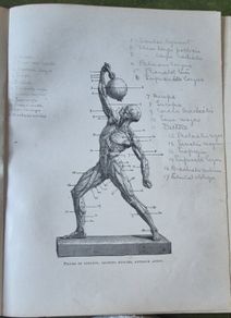 Sandow's On Physical Training. G. Mercer Adam. A. Casarin. Victorian, Physical Culture, Bodybuilding, Strongman, Gymnastics, Weightlifting, Dumbbells, Anatomy, Exercise Manual, Human Form, Photography, Antiquarian, Rare Edition, Gale Polden, London.