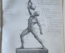 Sandow's On Physical Training. G. Mercer Adam. A. Casarin. Victorian, Physical Culture, Bodybuilding, Strongman, Gymnastics, Weightlifting, Dumbbells, Anatomy, Exercise Manual, Human Form, Photography, Antiquarian, Rare Edition, Gale Polden, London.
