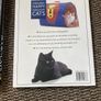 looking after you cat Image 3