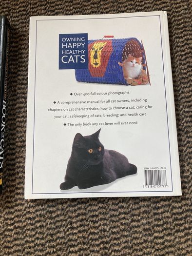 looking after you cat