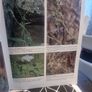 An illustrated guide to the flowers of Saudi Arabia (Hard covers, dust jacket Image 9