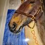 Lawrence Chambers The Brown Horse painting Image 2